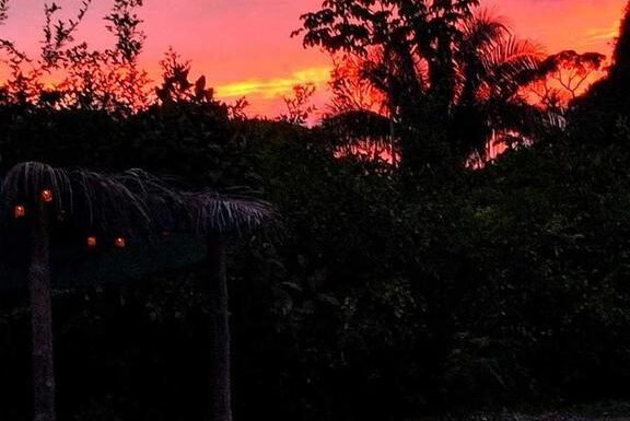 WhatsApp Image 2025-11-05 at 2.05.47 AM