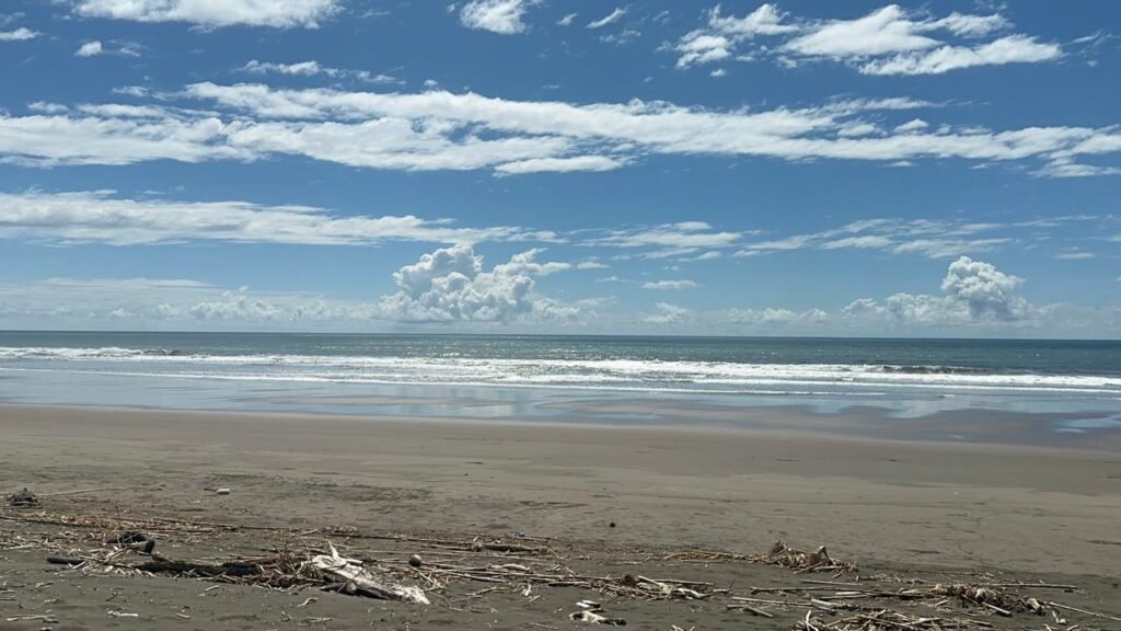 WhatsApp Image 2025-11-05 at 2.25.54 AM (1)