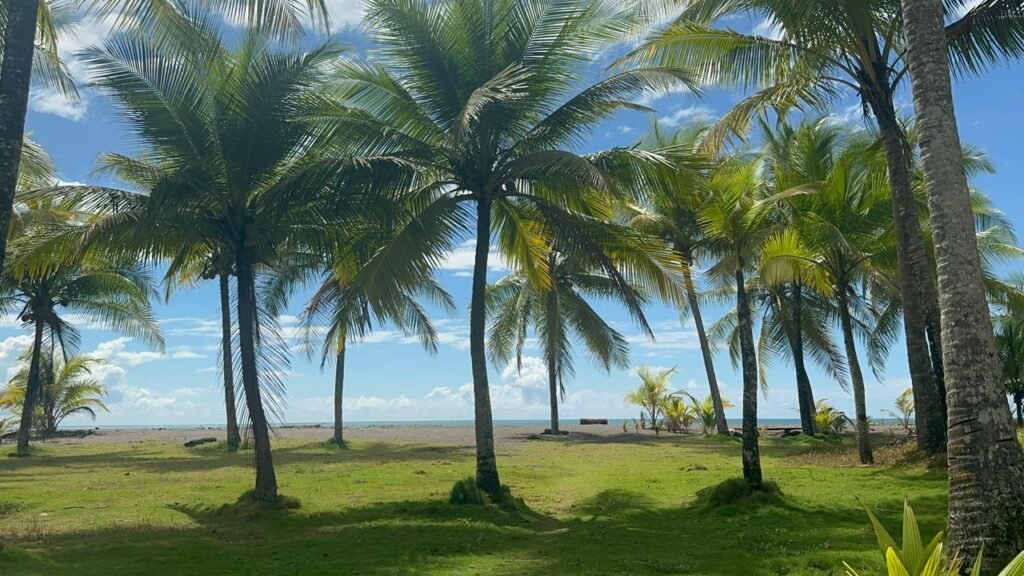 WhatsApp Image 2025-11-05 at 2.25.54 AM