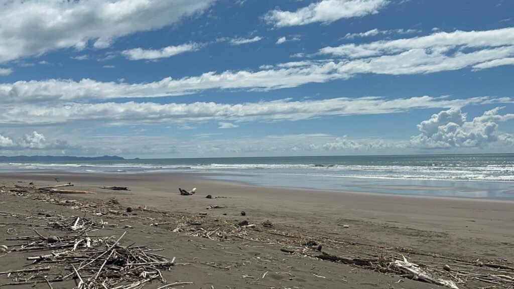 WhatsApp Image 2025-11-05 at 2.25.54 AM (2)