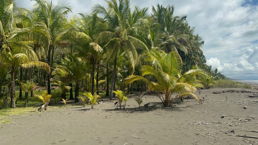 WhatsApp Image 2025-11-05 at 2.25.55 AM (1)