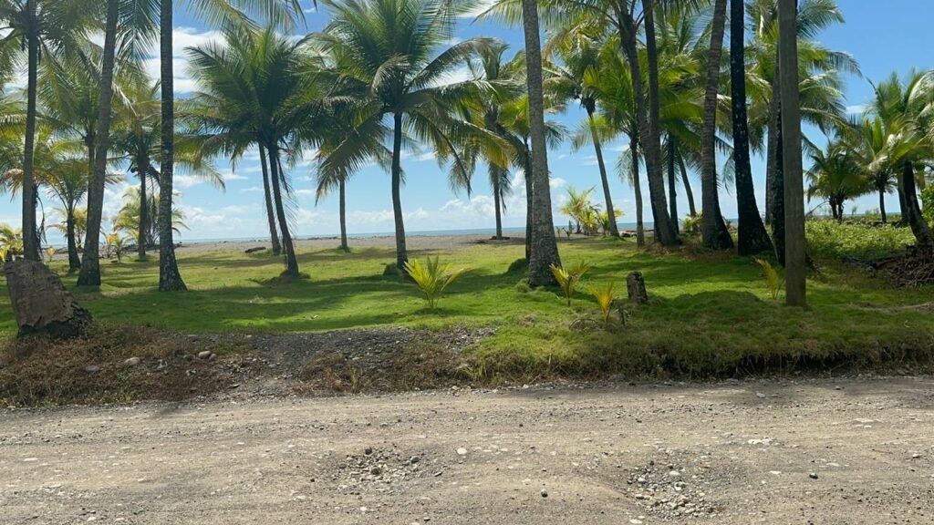 WhatsApp Image 2025-11-05 at 2.25.55 AM