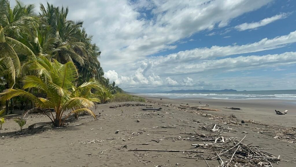 WhatsApp Image 2025-11-05 at 2.25.55 AM (2)