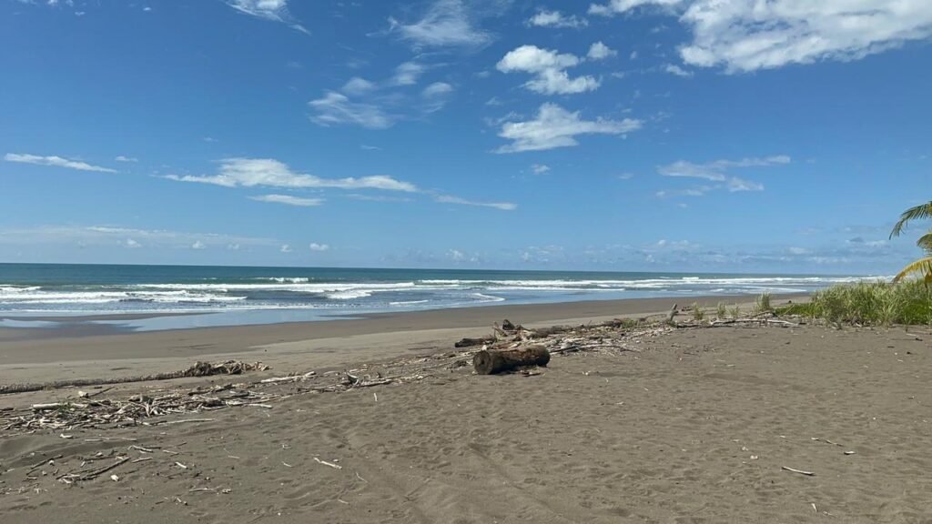 WhatsApp Image 2025-11-05 at 2.25.56 AM (2)