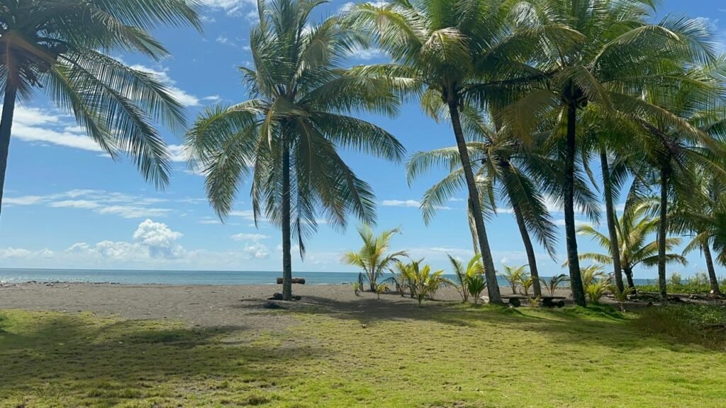 WhatsApp Image 2025-11-05 at 2.25.57 AM (1)