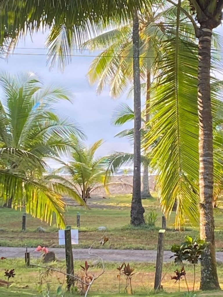 WhatsApp Image 2025-11-05 at 2.32.03 AM