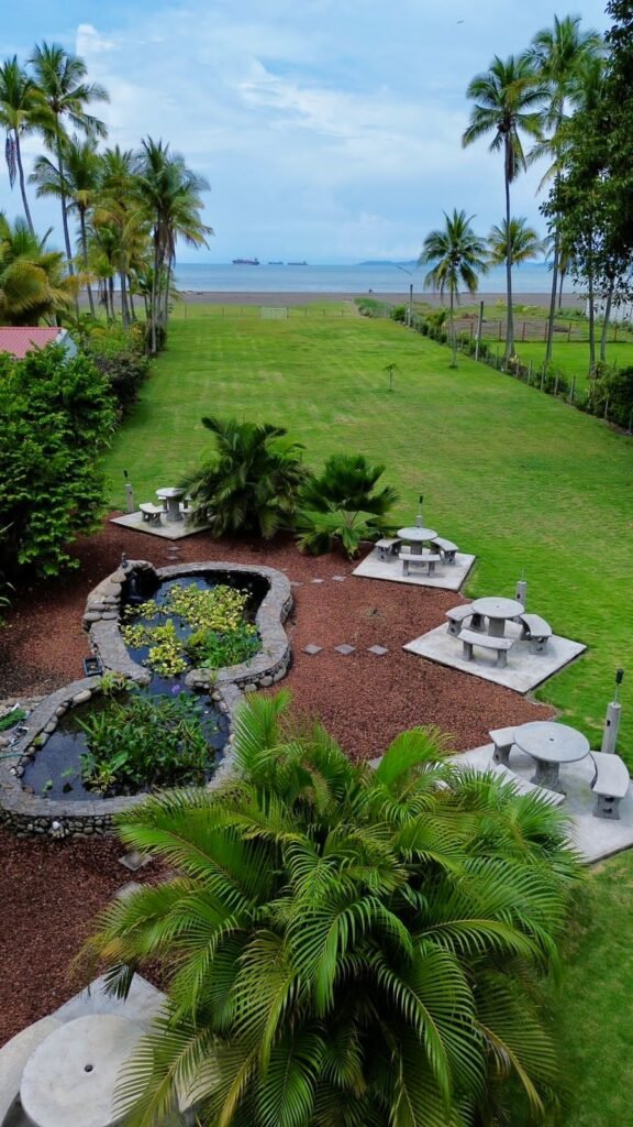 WhatsApp Image 2025-11-05 at 3.46.28 AM (1)