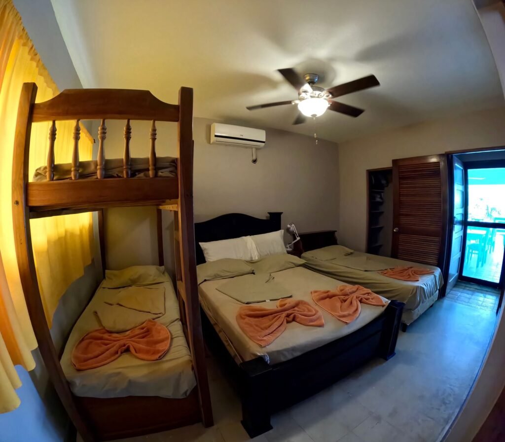 WhatsApp Image 2025-11-05 at 3.46.31 AM