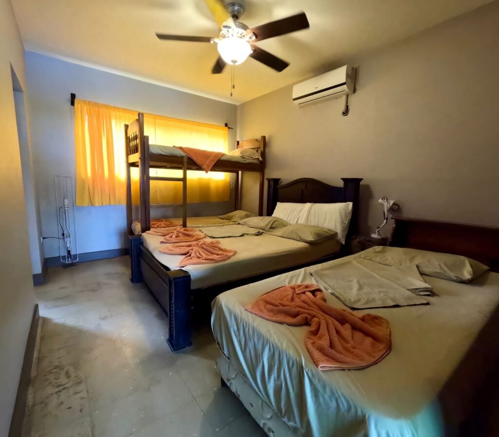 WhatsApp Image 2025-11-05 at 3.46.34 AM (2)