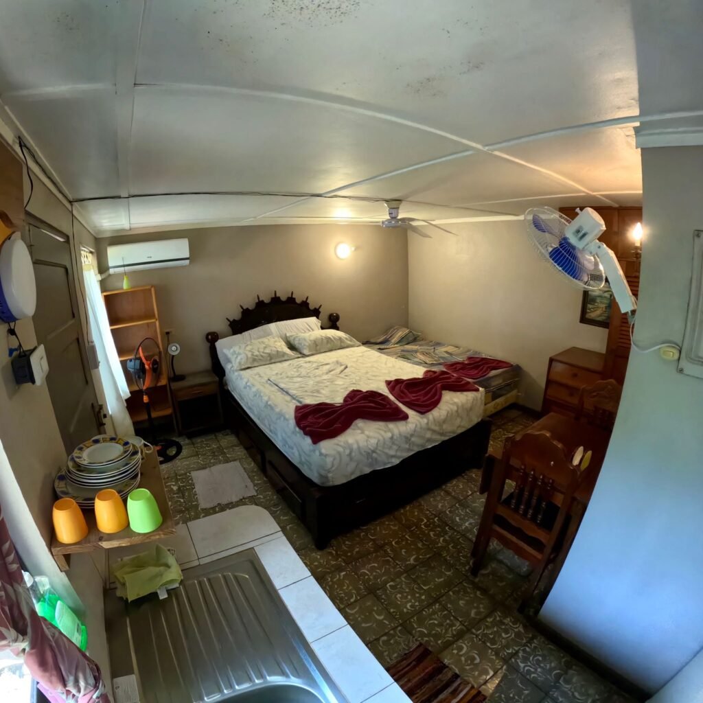 WhatsApp Image 2025-11-05 at 3.46.36 AM (1)