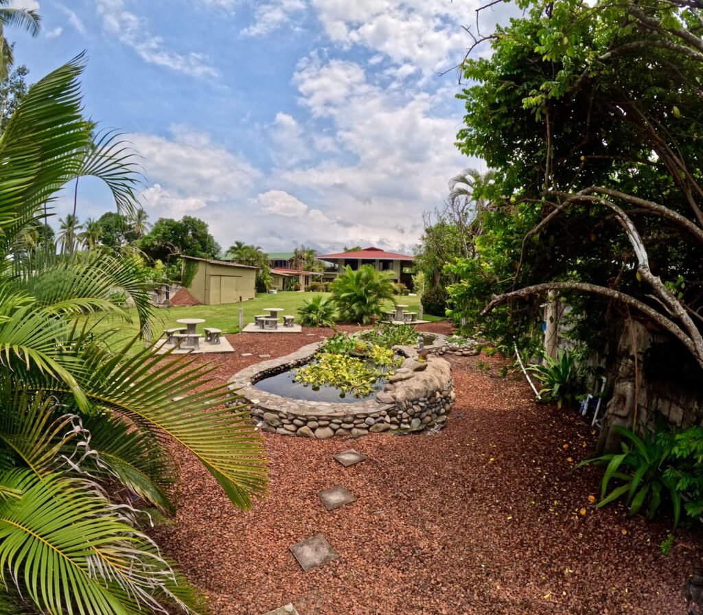 WhatsApp Image 2025-11-05 at 3.46.37 AM