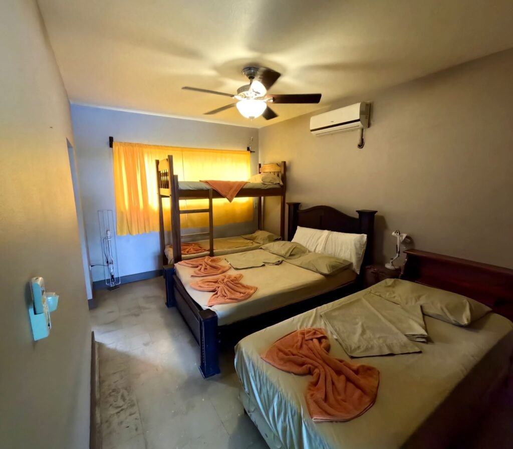 WhatsApp Image 2025-11-05 at 3.46.38 AM (2)