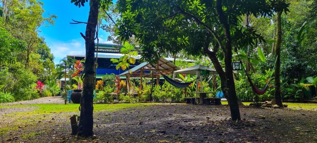 WhatsApp Image 2025-11-05 at 3.56.39 AM