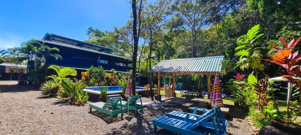 WhatsApp Image 2025-11-05 at 3.56.42 AM